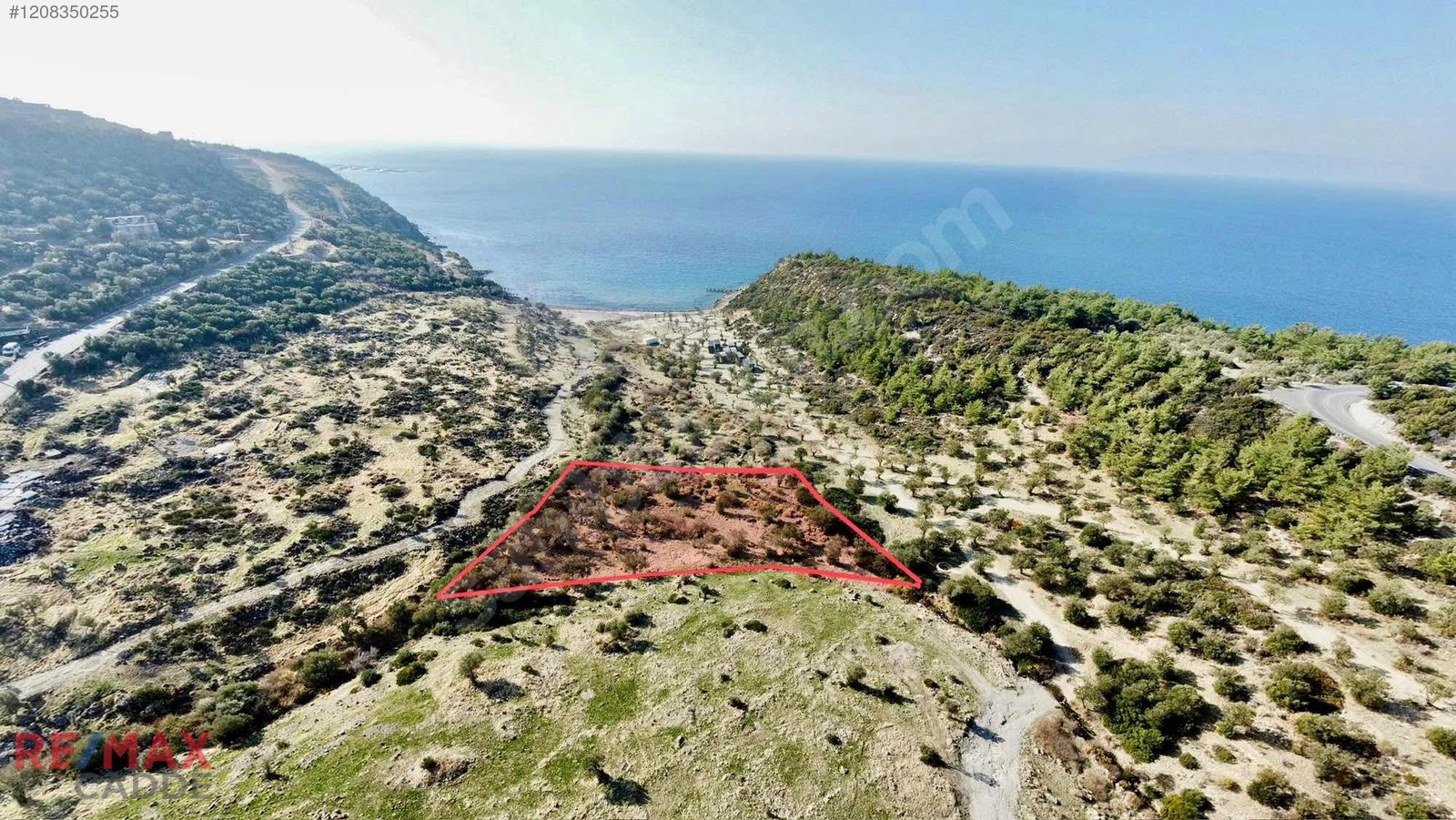 Dikili Bademli'de Denize 200 metre Mesafede Zeytinlik Yatırımlık