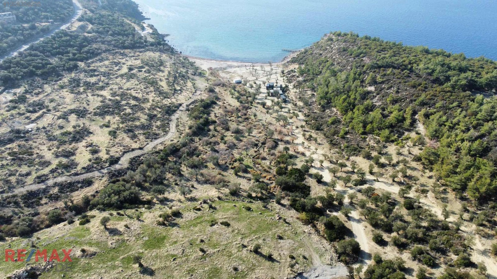 Dikili Bademli'de Denize 200 metre Mesafede Zeytinlik Yatırımlık