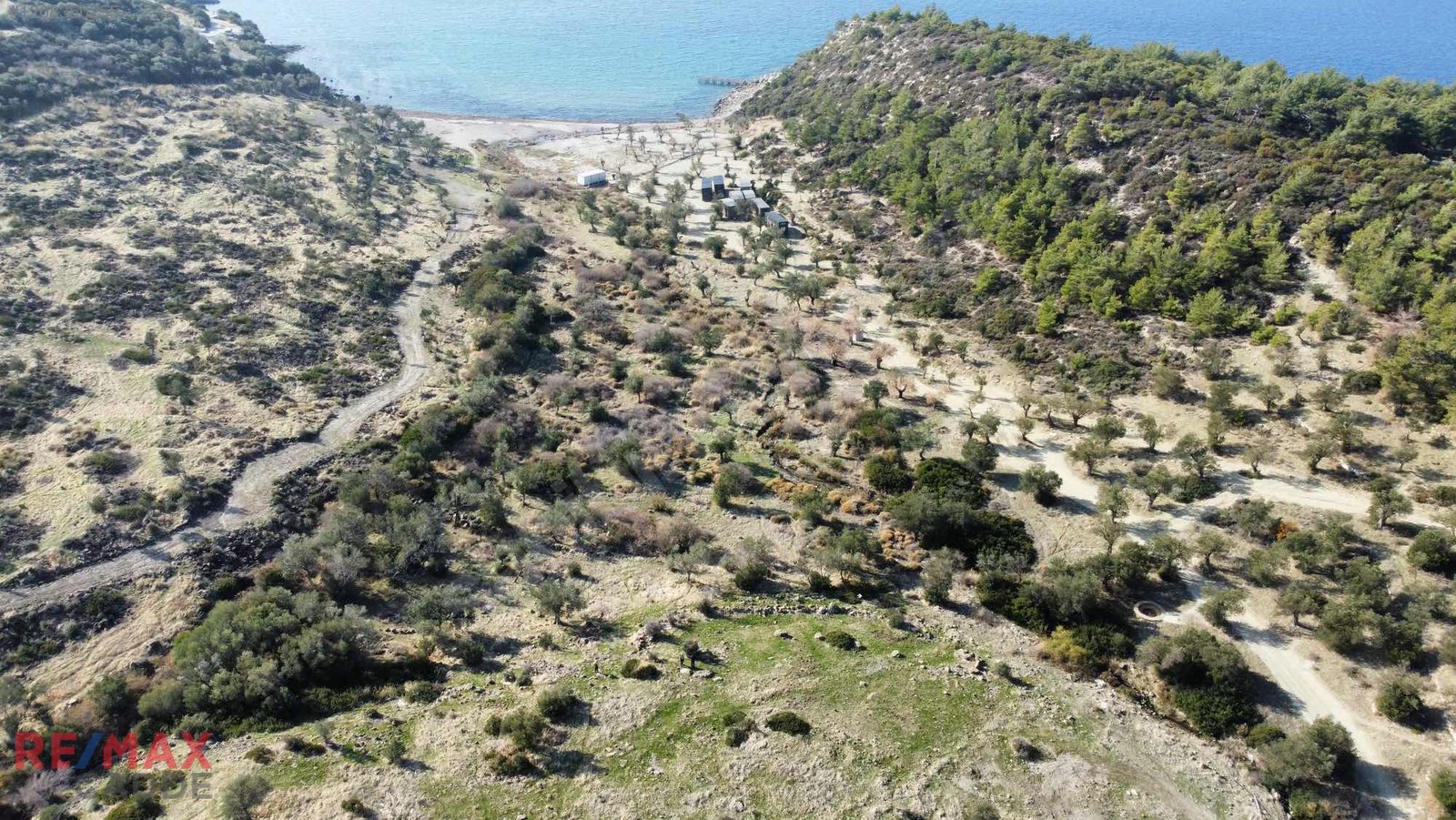 Dikili Bademli'de Denize 200 metre Mesafede Zeytinlik Yatırımlık