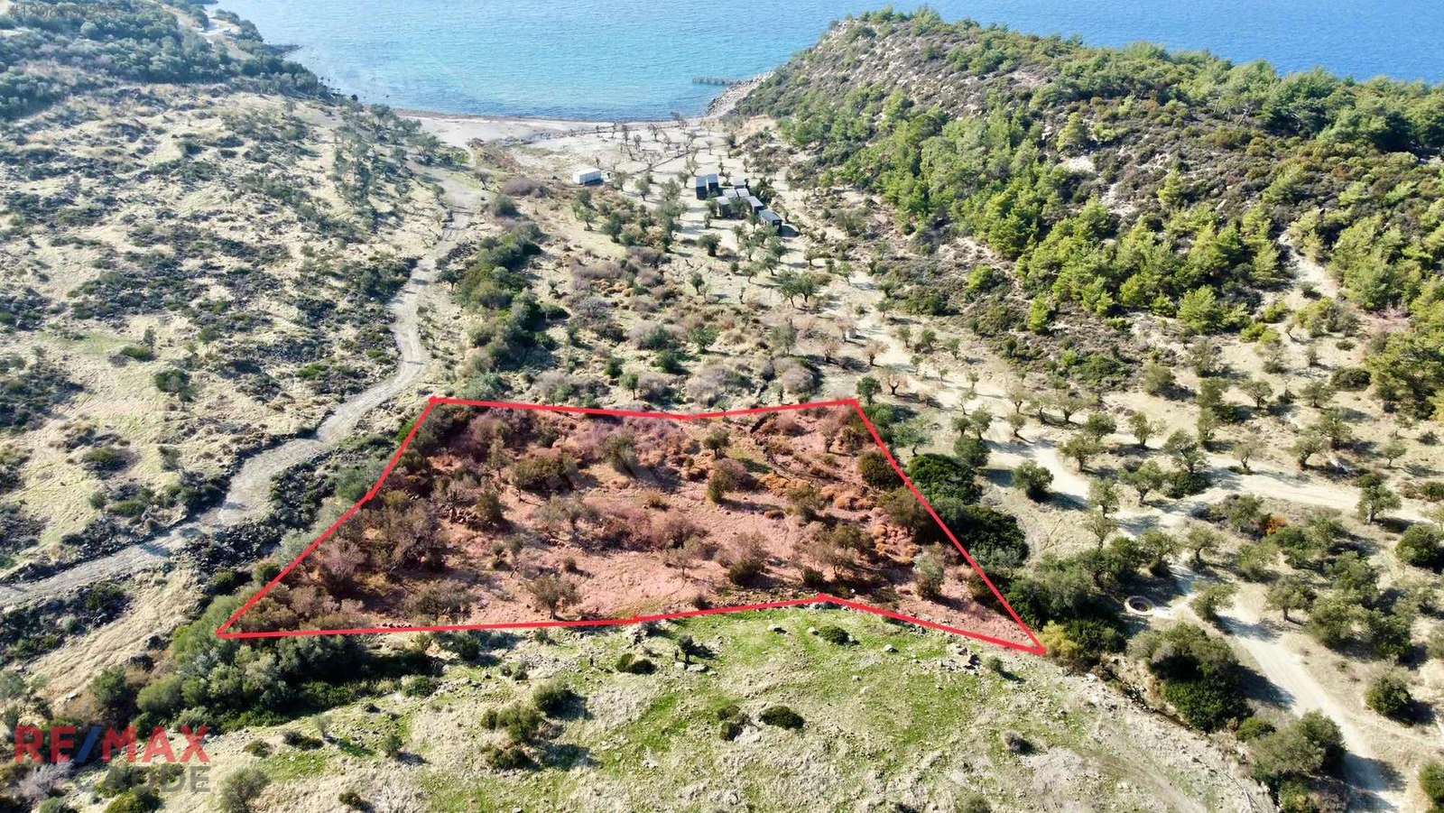 Dikili Bademli'de Denize 200 metre Mesafede Zeytinlik Yatırımlık