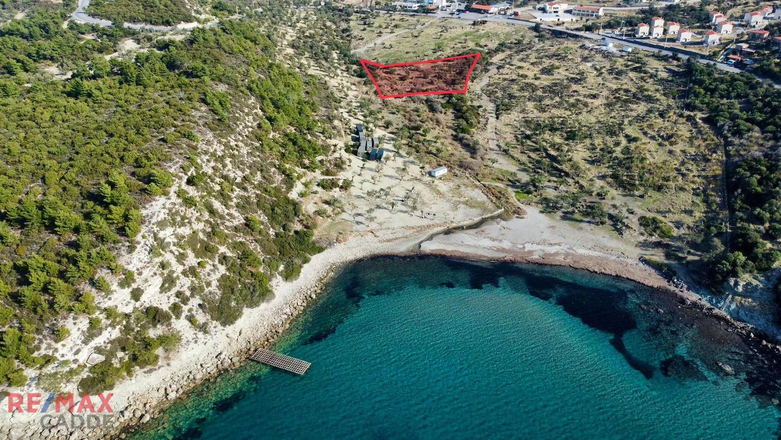 Dikili Bademli'de Denize 200 metre Mesafede Zeytinlik Yatırımlık