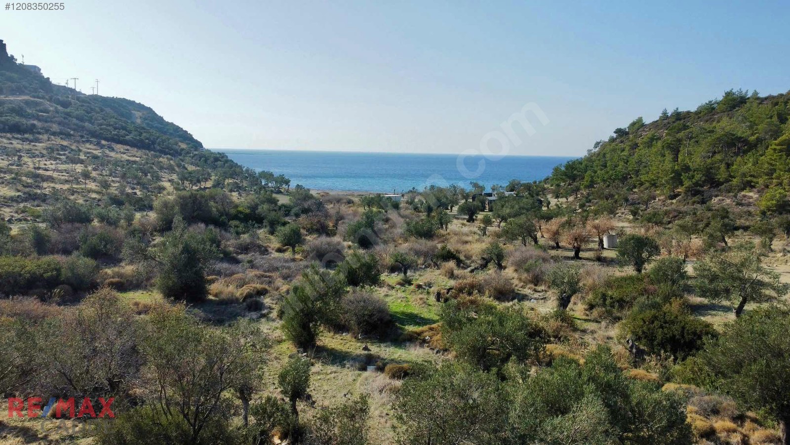 Dikili Bademli'de Denize 200 metre Mesafede Zeytinlik Yatırımlık
